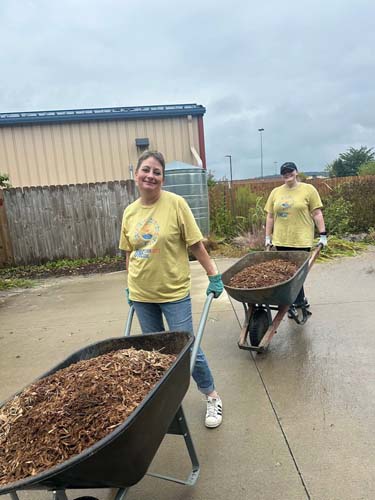 Two volunteers pushing wheelbarrows loaded with mulch on a rainy morning