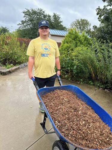 A volunteer pushing a blue wheelbarrow full of mulch